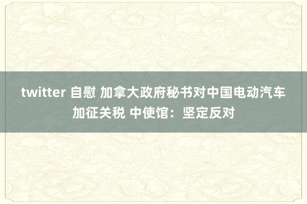 twitter 自慰 加拿大政府秘书对中国电动汽车加征关税 中使馆：坚定反对