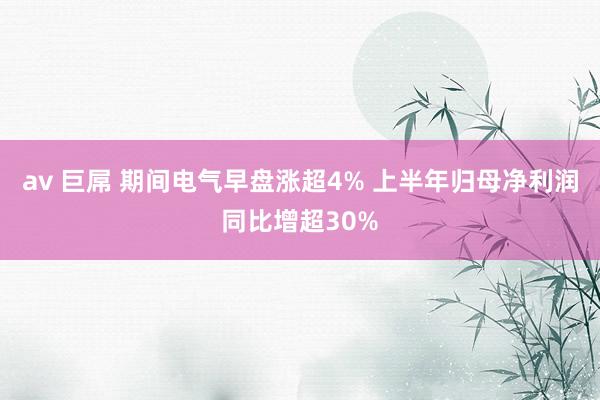 av 巨屌 期间电气早盘涨超4% 上半年归母净利润同比增超30%