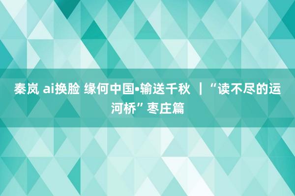 秦岚 ai换脸 缘何中国•输送千秋 ｜“读不尽的运河桥”枣庄篇