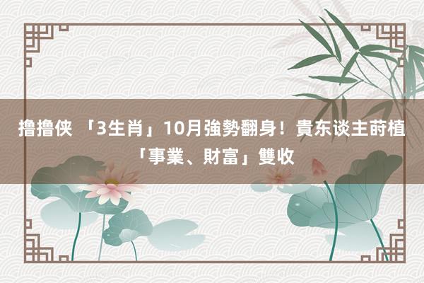 撸撸侠 「3生肖」10月強勢翻身！貴东谈主莳植「事業、財富」雙收