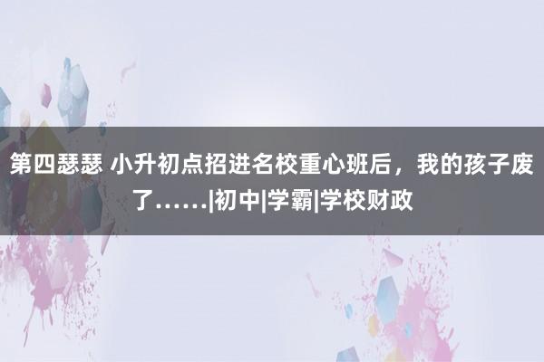 第四瑟瑟 小升初点招进名校重心班后，我的孩子废了……|初中|学霸|学校财政